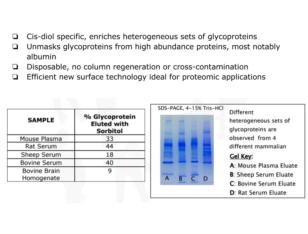 NuGel™ Glycoprotein Enrichment PBA Kit糖蛋白富集PBA试剂盒