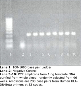 ProPrep™ Genomic Kit 基因组全血DNA纯化试剂盒