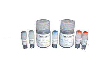 TAC-Peroxyl Antioxidant Capacity kit
