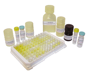 人细胞谷胱甘肽过氧化物酶（cGPx/GPX1）ELISA试剂盒