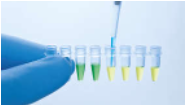 UCP HiFidelity PCR Kit 