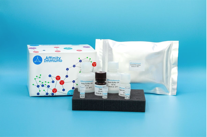 Anti PEG antibody ELISA Kit(mouse IgM specific)