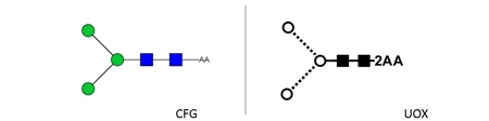 M3N2 (Man-3) Glycan, 2-AA Labelled，M3N2 (Man-3)多糖标准品
