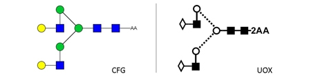 NA2 Glycan (A2G2, G2), 2-AA Labelled，NA2多糖标准品(A2G2, G2), 2-AA标记