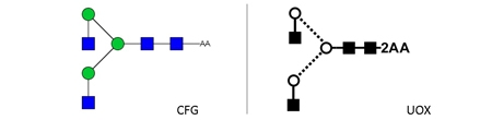 NGA2 Glycan (A2, G0), 2-AA Labelled，NGA2多糖标准品(A2, G0), 2-AA标记
