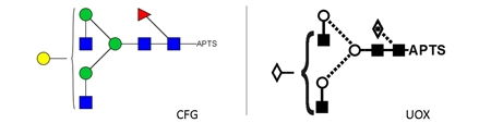 FA2G1 Glycan (G1F), APTS Labelled，FA2G1多糖标准品(G1F), APTS标记