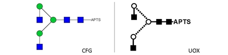 NGA2 Glycan (A2, G0), APTS Labelled，NGA2多糖标准品(A2, G0), APTS标记