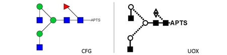 NGA2F Glycan (FA2, G0F), APTS Labelled，NGA2F多糖标准品(FA2, G0F), APT