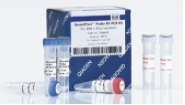 QuantiTect SYBR Green RT-PCR Kit