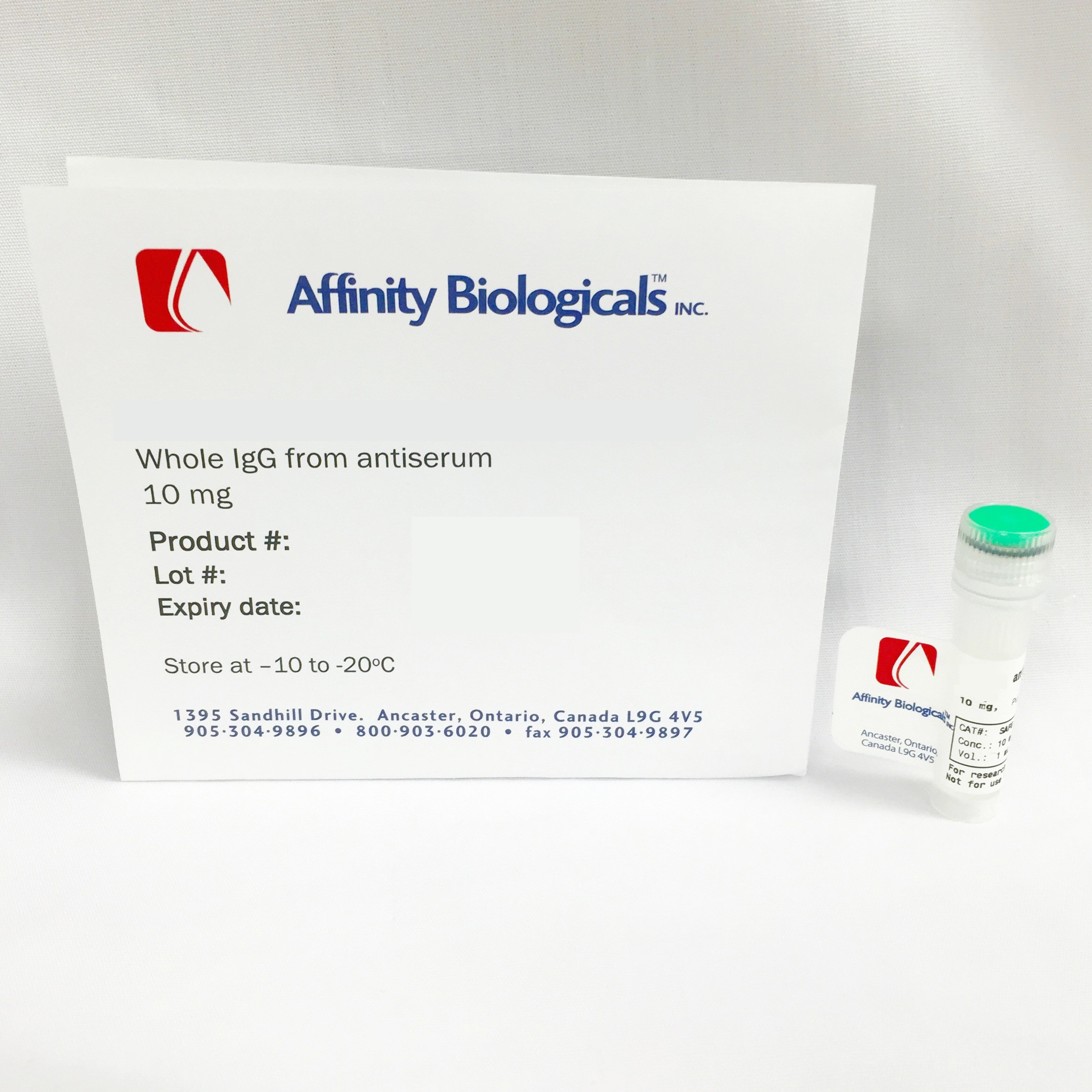 Alpha-1-Antitrypsin(A1AT)抗体
