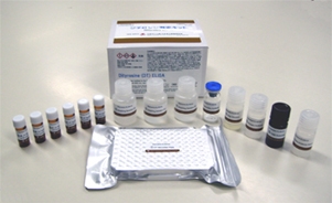 Dityrosine (DT) ELISA Kit