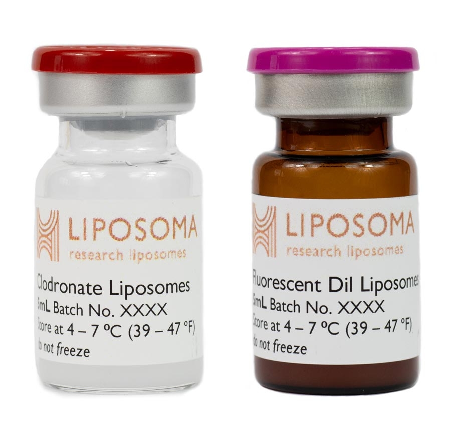 Clodronate Liposomes & Fluorescent Dil Liposomes