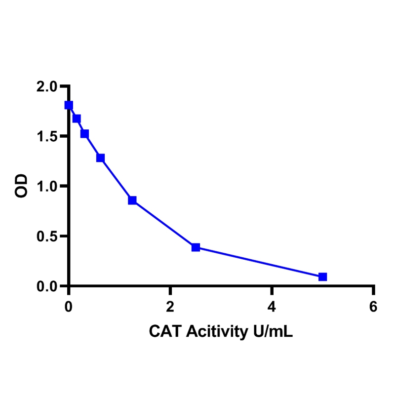Catalase Activity Assay Kit (Colorimetric)过氧化氢酶(CAT)比色法检测试剂盒