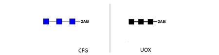 Ludger BioQuant Chitotriose Quantitative Standard, 2AB labelled，