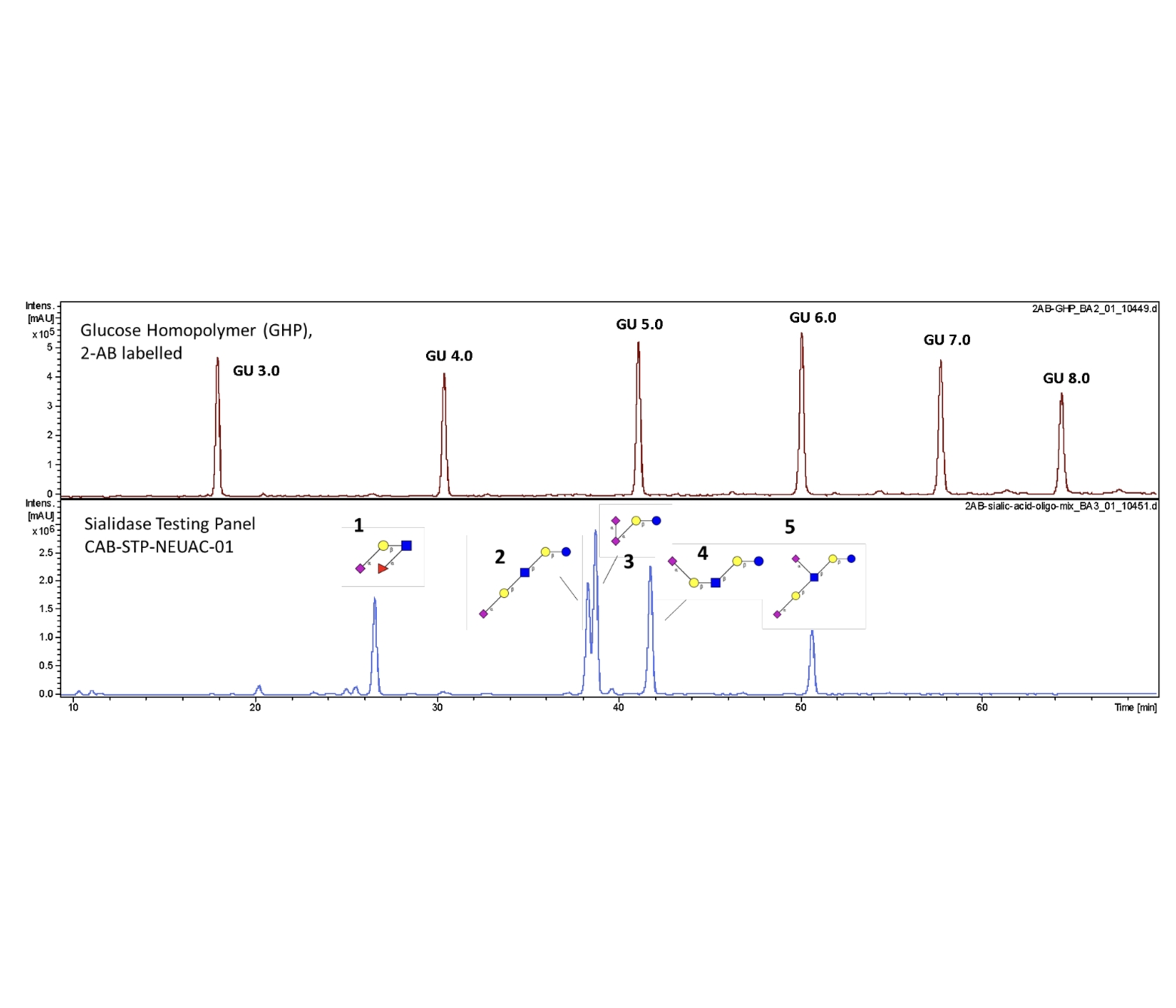 Sialidase Testing Panel, 2-AB Labelled，唾液酸酶检测板–2-AB标记