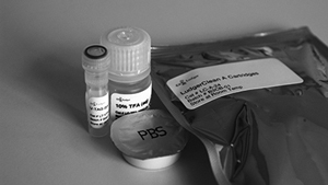 LudgerTag V-Tag Glycopeptide Labeling and Enrichment Kit，V-Tag糖肽