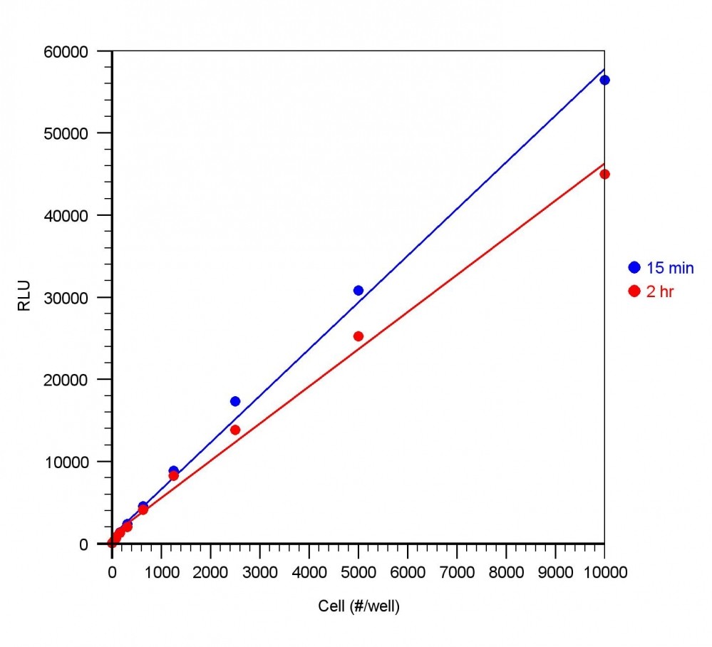 Readiuse™ Rapid Luminometric ATP Assay Kit