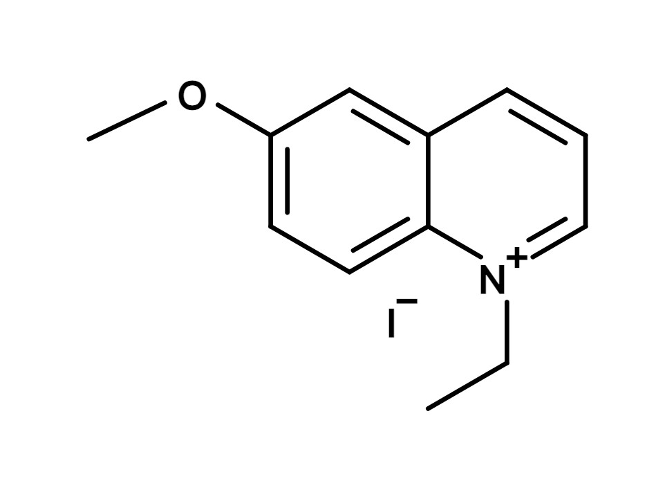 MEQ [6-Methoxy-N-ethylquinolinium iodide]