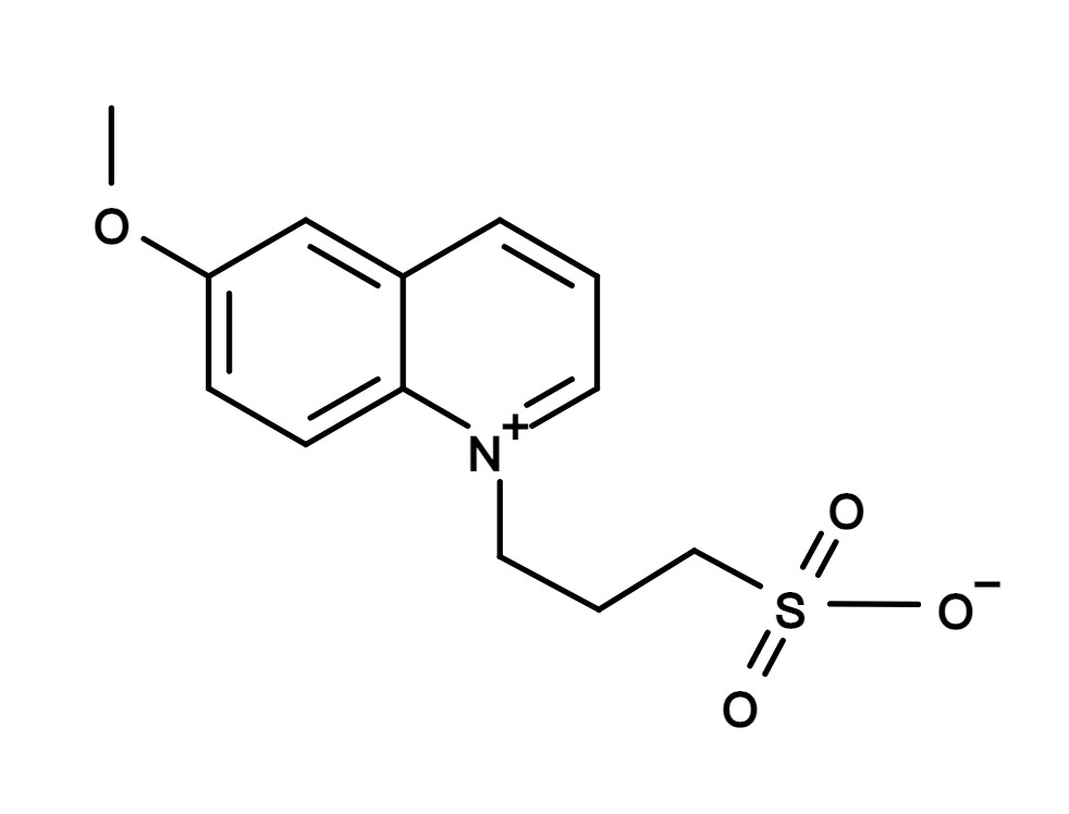 SPQ [6-Methoxy-N-(3-sulfopropyl)quinolinium]