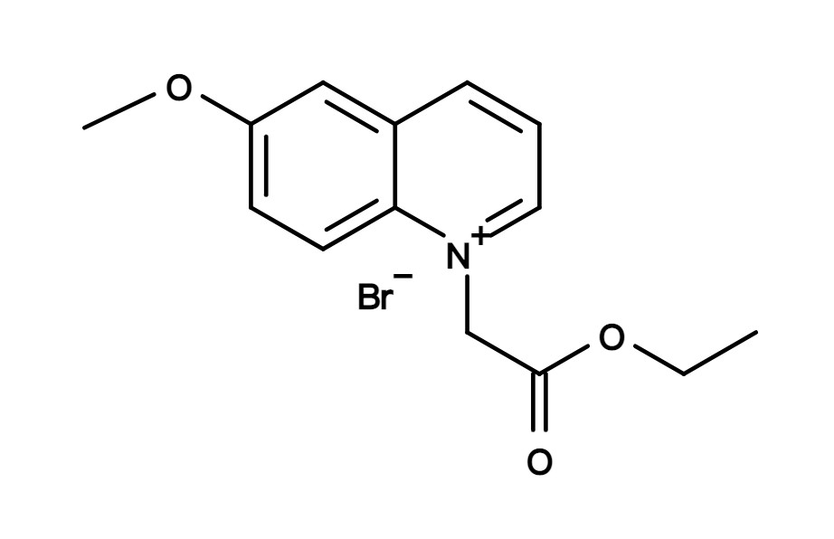 MQAE [N-(Ethoxycarbonylmethyl)-6-methoxyquinolinium bromide]