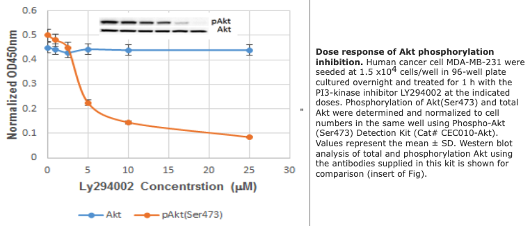Phospho-Akt(Ser473) Detection Kit B(Cell-based Colorimetric)