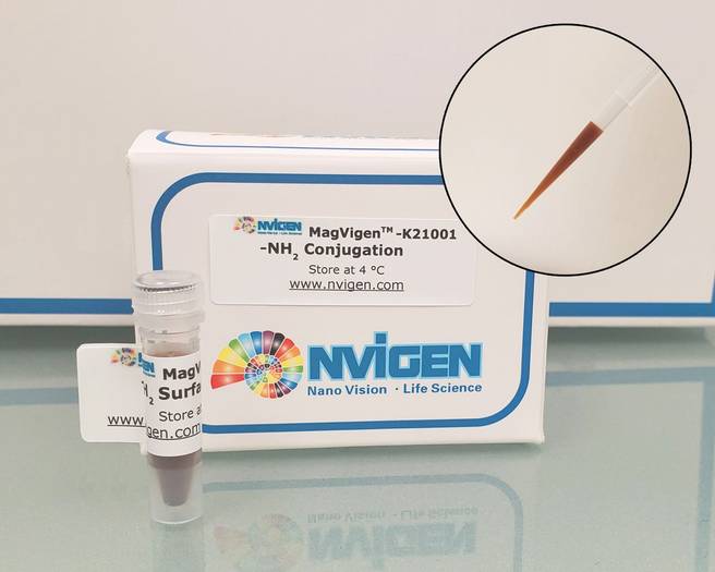 MagVigen™ - NH2 Conjugation Kit